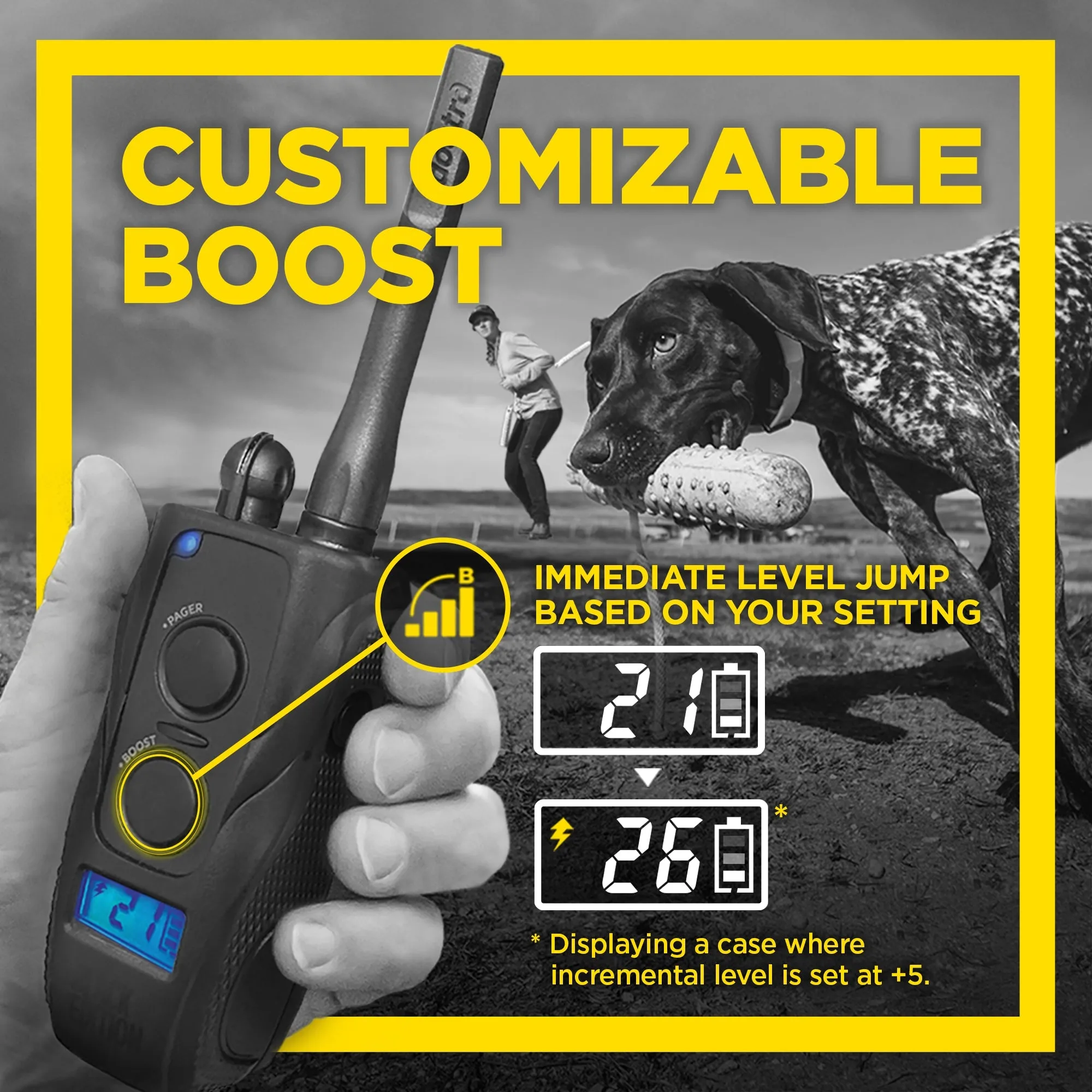 Dogtra 1900S Black Edition Boost & Lock