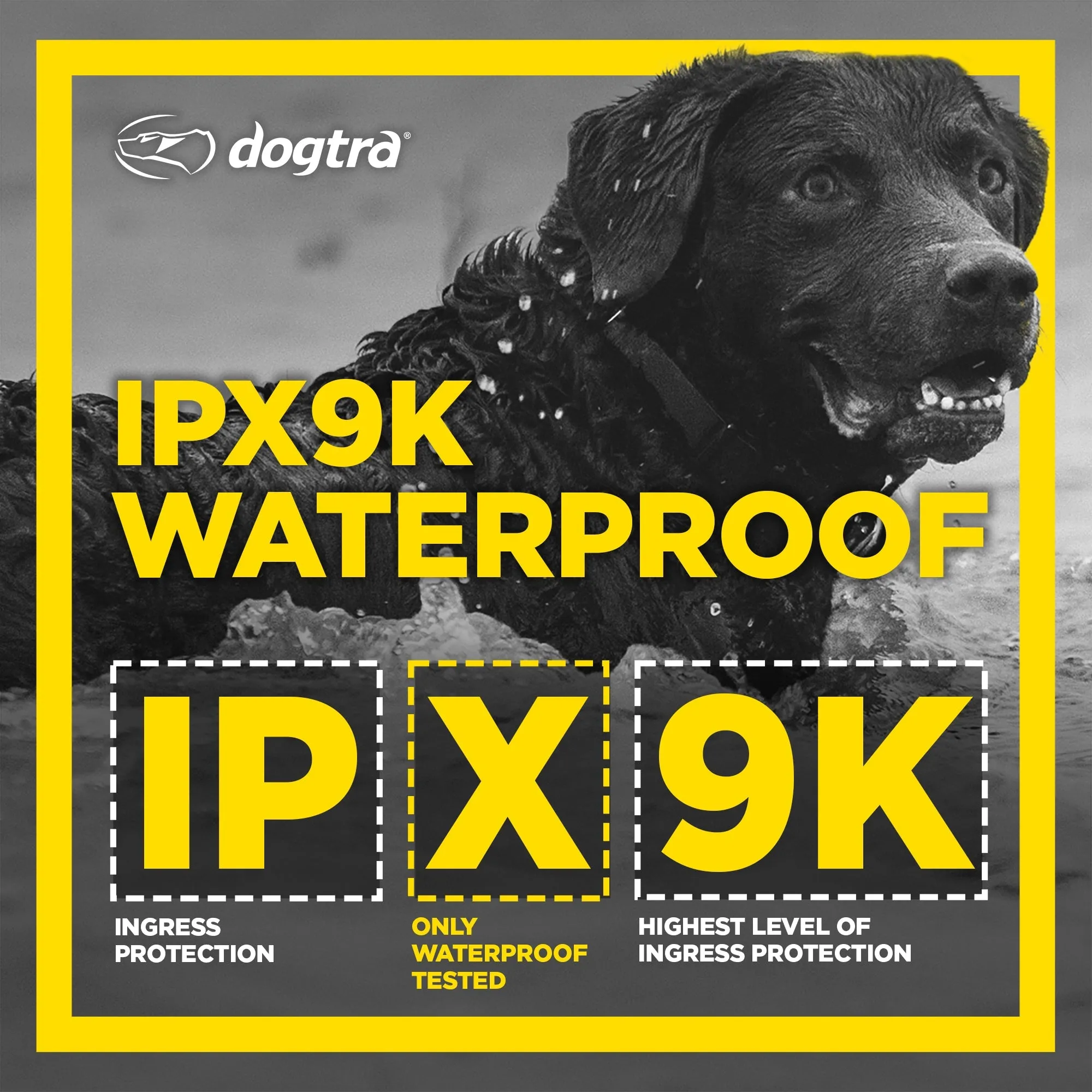 Dogtra 1900S Black Edition Boost & Lock